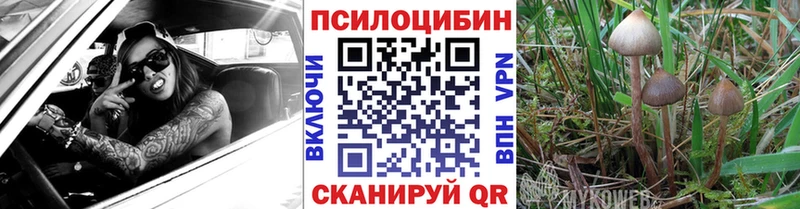 Галлюциногенные грибы мицелий  Агидель 
